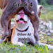 grok ai elon musk